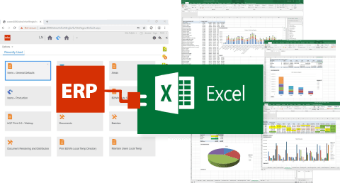 Infor LN ERP connected to Excel — structured reports, charts, and analysis-ready spreadsheets