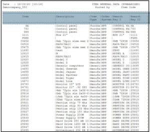 Example of Reports that convert automatically to Excel