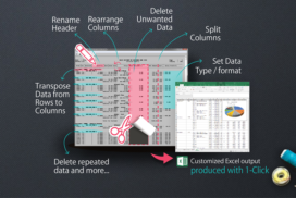 B2Win Suite Excel Designer