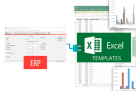 ERP to Excel Templates example