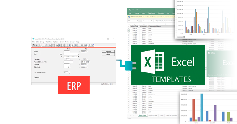 ERP to Excel Templates example